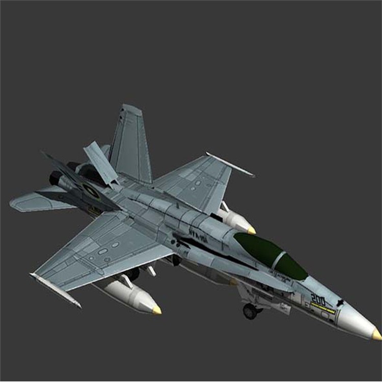 广安3D舰载战斗机模型
